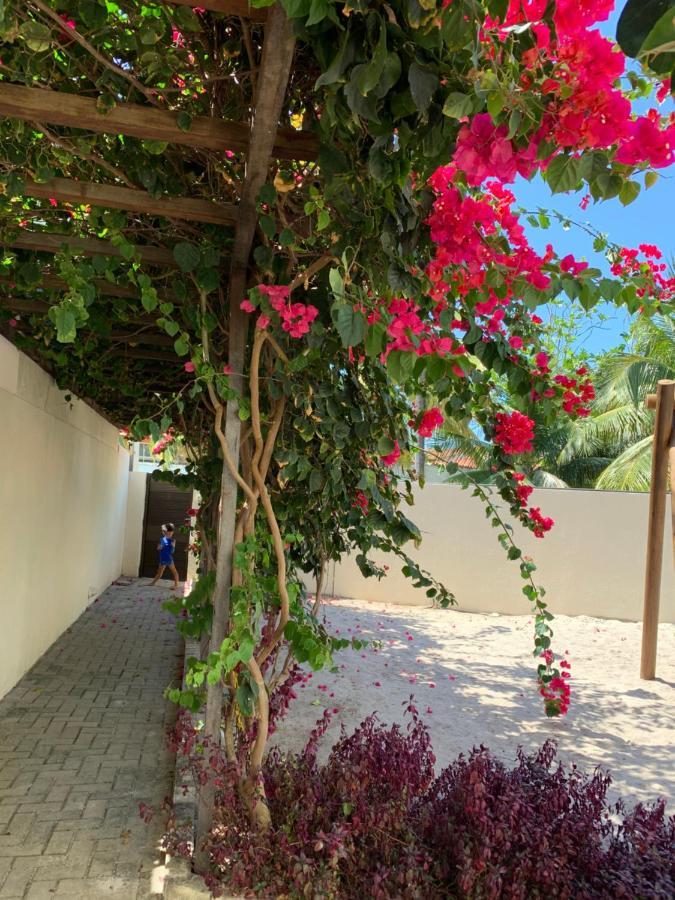 Manawa Beach Flat A18